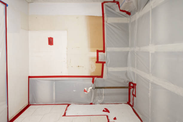 Best Mold Remediation for Healthcare Facilities  in Decordova, TX